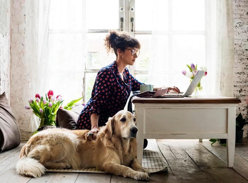 Emotional Support Animal Letter