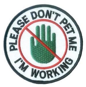 Please Don't Pet Me Round Patch