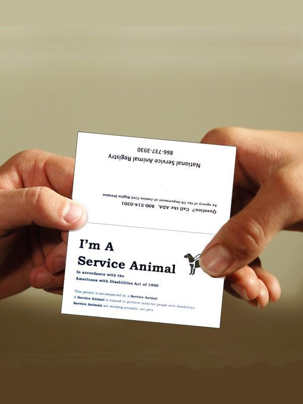 Service Dog Information Cards