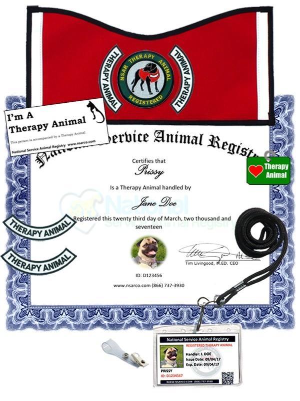 Therapy Animal Registration - Deluxe Kit